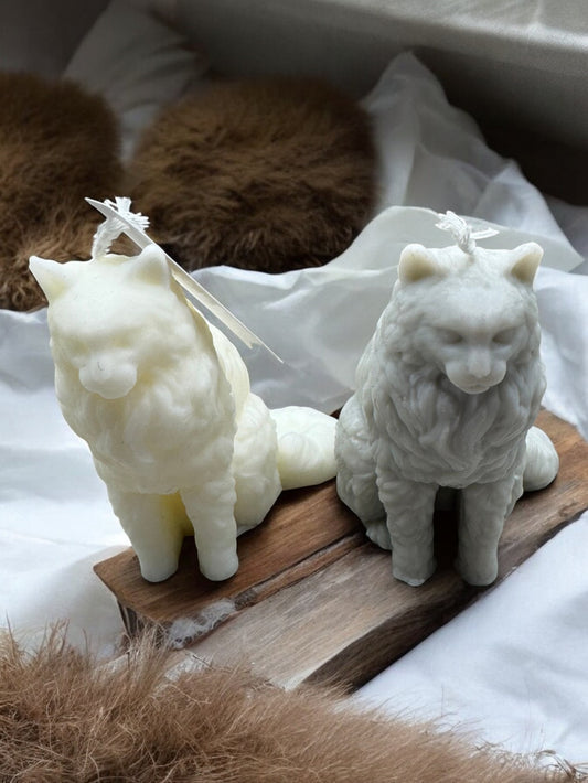 Maine Coon Katje - Decoratieve Kaarsen